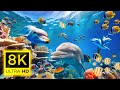 Aquarium 8K VIDEO (ULTRA HD) 🐠 Beautiful Coral Reef Fish - Relaxing Oceanscapes ( 8K Ultra HD )