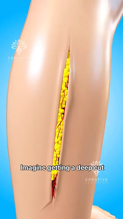 Self-Healing Skin like Hydrogel Repairs Wounds in Hours! #short #hydrogel - Creativelearning3d