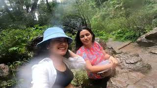 Springbrook National Park | Purlingbrook Falls | One Day Trip Near Brisbane/Gold Coast