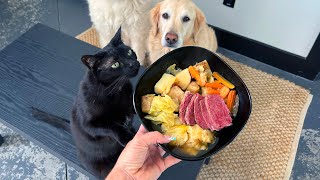 Irish Meal for Dogs - St Patrick's Day (SCS 381) by SuperCooper 214,054 views 1 year ago 8 minutes, 57 seconds