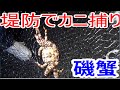 ＃１堤防でカニを捕って食う！！