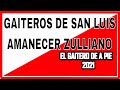 Disfruta la Tradicional Gaita Zuliana con Gaiteros de San Luis 🎶
