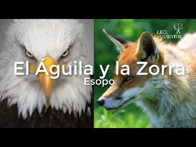 El Águila y la Zorra, Esopo - YouTube