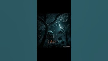 القارئ عمر عبدالعزيز