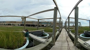 A way forward: large-scale mesocosm system