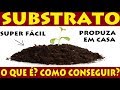 Substrato o que  e como produzir facilmente em casa