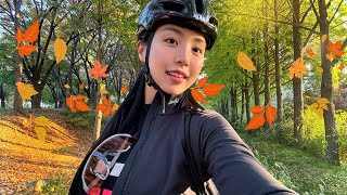 자전거 타고 단풍 구경 가기🍁