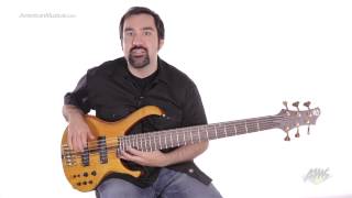 Ibanez BTB1406E Premium 6 String Bass Guitar - Ibanez BTB1406E