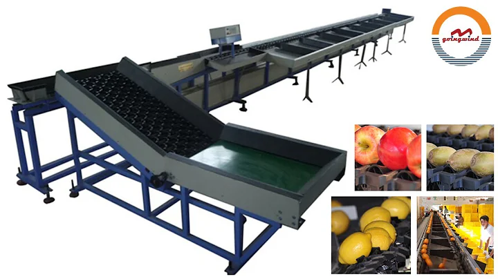 Automatic electronic fruits weight grading machine citrus apple tomato sorting machine