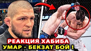 РЕАКЦИЯ Хабиба НА БОЙ Умар Нурмагомедов - Бекзат Алмахан / UFC Vegas 87! Мухаммад Мокаев Перез Хабиб