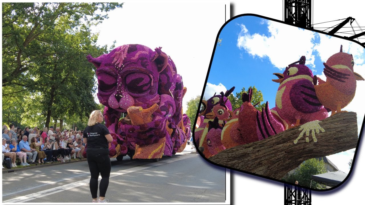 Bloemen Corso Lichtenvoorde 2024 / flower parade