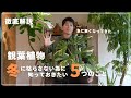 【急に寒くなってきた！】誰でもできる！冬前に絶対知っておきたい5つのこと！