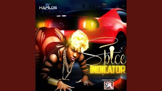 Indicator - Spice