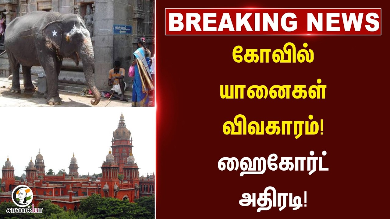 ⁣#breakingnews: மதுரை மீனாட்சி அம்மன் கோவில் குடமுழுக்கு சர்ச்சை.. | High Court Order | HRCE | TVK