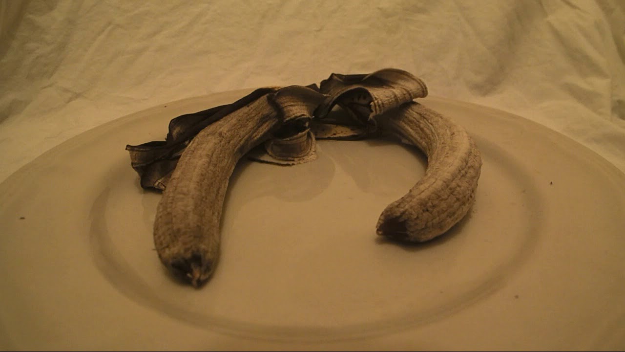 Organic Vs Regular Which Banana Rots Faster YouTube Organic Vs Regular Which Banana Rots Faster YouTube