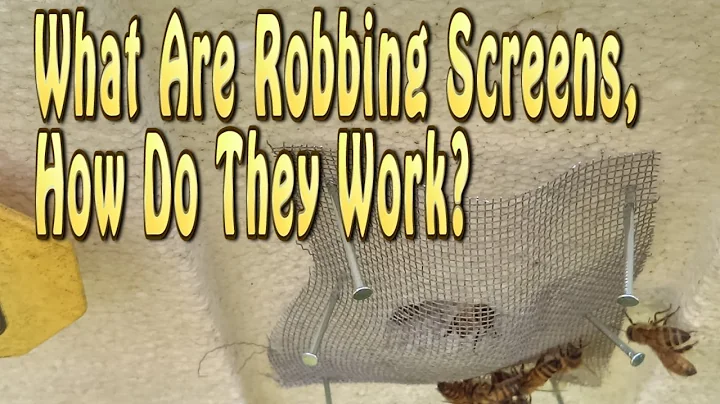 Bee Hive Robbing Screens & How Robbing Screen Work