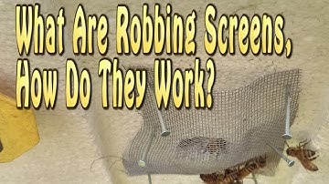 Bee Hive Robbing Screens & How Robbing Screen Work