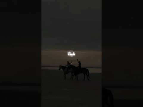 خيالا انا خيال اغنية الشامي الجديدة وين حال