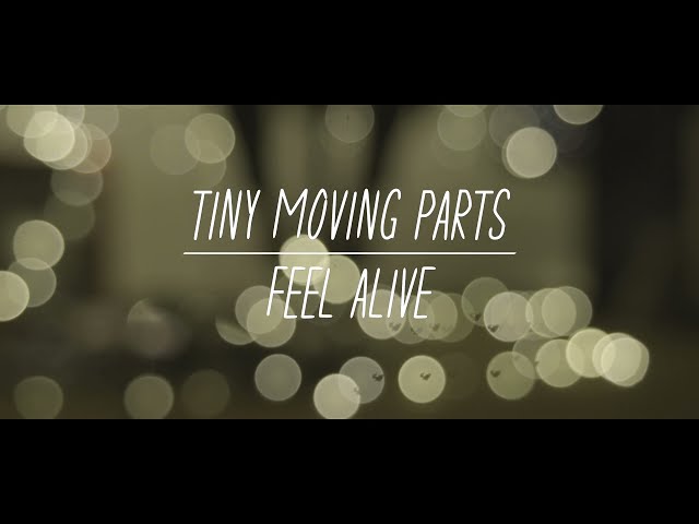 Tiny Moving Parts - Feel Alive - Guitar Cover class=