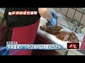 疫情與市場供應問題