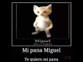 Mi pana miguel historia completa