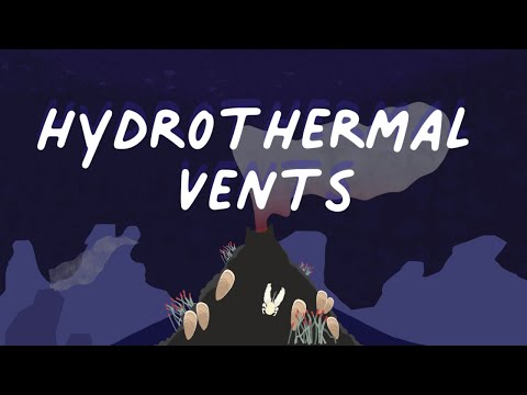 Vidéo: Comment les bouches hydrothermales obtiennent-elles de l'énergie?