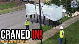 Touring Mark's Ultimate 12-Foot Step-Down Aquarium! | Mark Callahan, Mr. Saltwater Tank