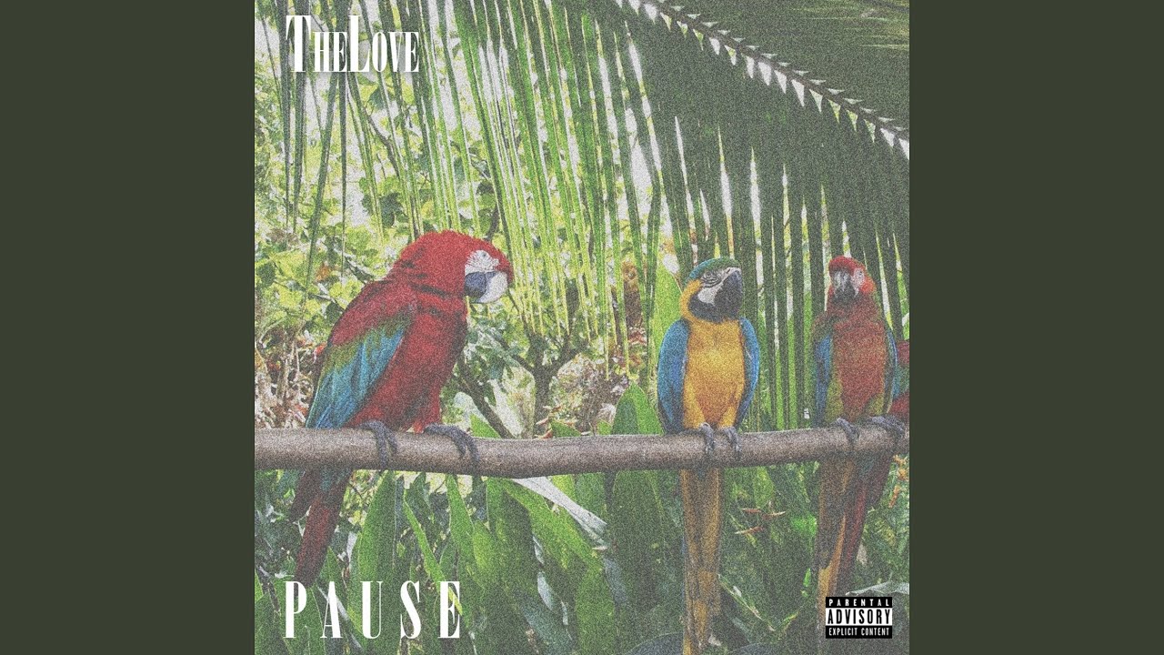 Watch Pause on YouTube Watch Pause on YouTube