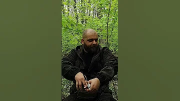 Как нужно реагировать на клещей