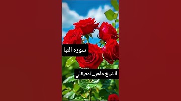 #سوره النبا عما يتساءلون عن النبا العظيم #الشيخ #ماهر_المعيقلي #تلاوه #هادئه #جميله #قرآن_كريم #🌺🌺