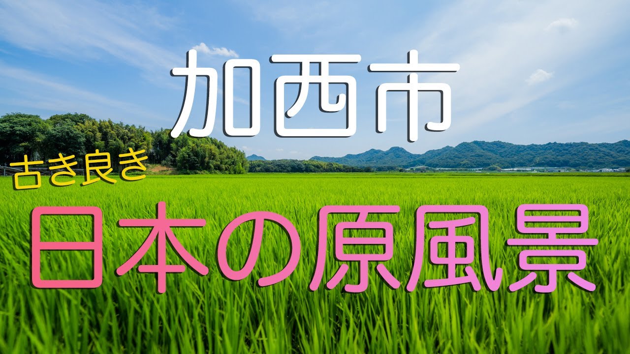 一面緑の世界】加西市東剣坂町の美しすぎる田園風景 | 播州鬼散歩