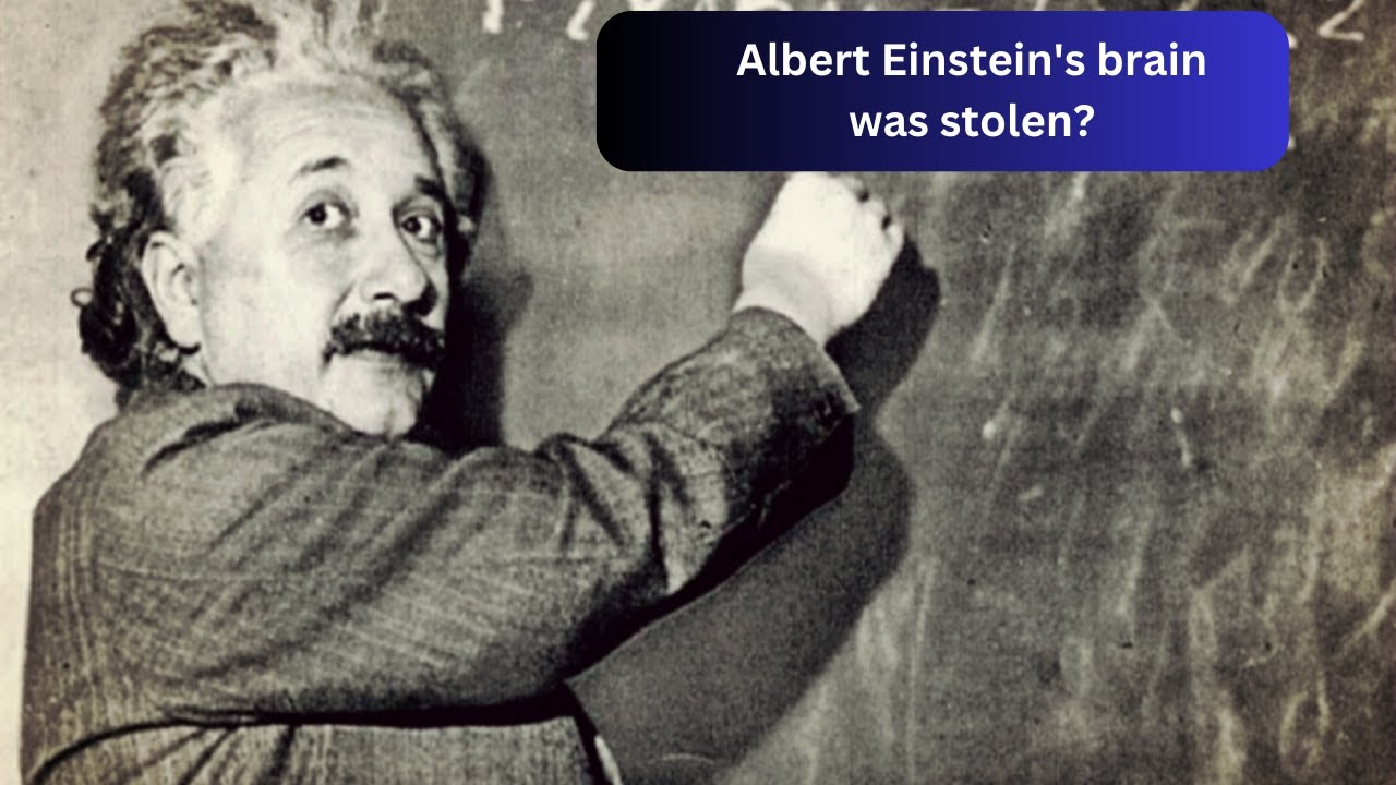 Albert Einstein's brain was stolen? - YouTube