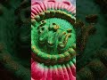 #ধাঁধাও