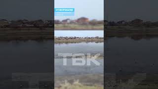 Озеро Практически Высохло