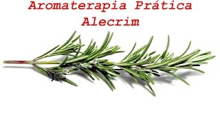 Aromaterapia pratica Alecrim