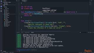 Go : Building DevOps Tools: Designing the API | packtpub.com