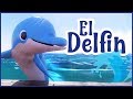 Mi amigo el delfn   canciones para nios  msica para bebes