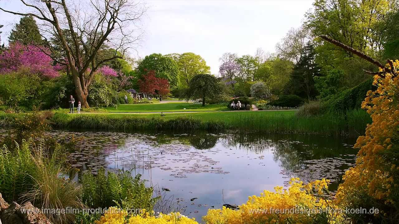 Inside the Most Beautiful Botanical Garden in the World