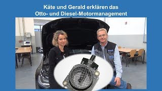 Käte Und Gerald Erklären Den Luftmassenmesser Im Otto-Motormanagement