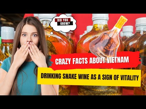 Vídeo: Fatos interessantes sobre o Vietnã. Dongs vietnamitas. Chapéu vietnamita. Bebidas alcoólicas vietnamitas estranhas