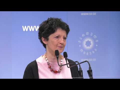 \"სააკაშვილი და მის მიერ მართული ზოგიერთი ძალა რჩება მთავარ ანტიდასავლურ ძალად საქართველოში\"