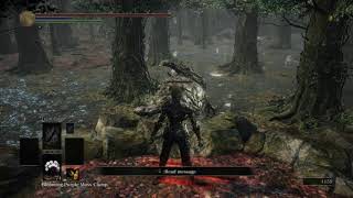 Dark Souls 3 | pivot swap tutorial