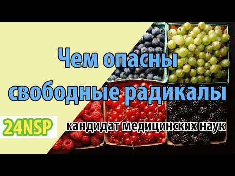 Чем опасны свободные радикалы и чем полезны антиоксиданты для защиты здоровья современного человека?