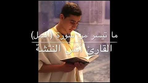 ما تيسر من سوره (النمل) القارئ انس النتشة⁦❣️⁩⁦❣️⁩