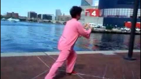 Feng Taichi at Baltimore (Wu Style 83 Form)