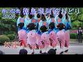 【阿波踊り2026】徳島城阿波おどり　奴連　蜂須賀家正像前広場