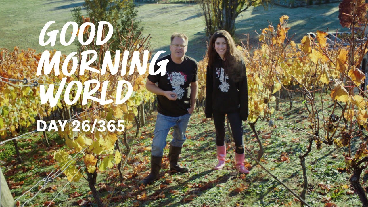 new zealand currency Good Morning World | Day 26 of 365