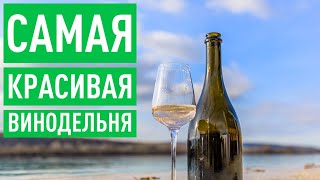 Построить и заработать на самом красивом винограднике в Крыму — Рем Акчурин