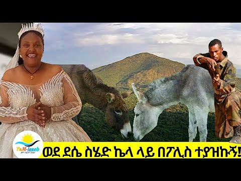 የ አህያ ሰርግን ለመታደም በጉዞ ላይ ገጠመኞች በአህያ ሰርግ ላይ ያልታዩ ቃለመጠይቆች በሃገሬው ሰዎች አንደበት Wedding Motivation