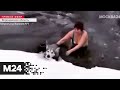 Женщина спасла тонущую собаку из ледяной воды в Воронежской области - Москва 24